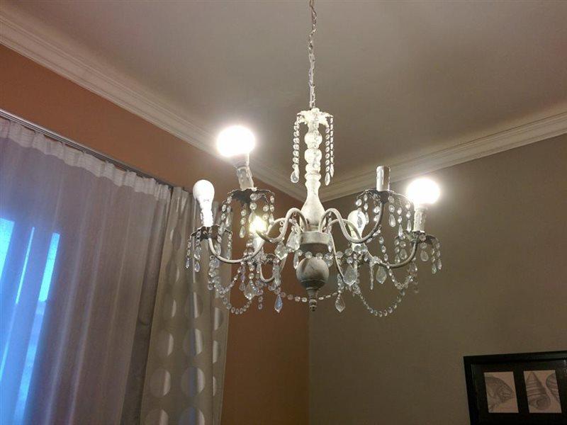 بيزا B&B Villa Regina المظهر الخارجي الصورة